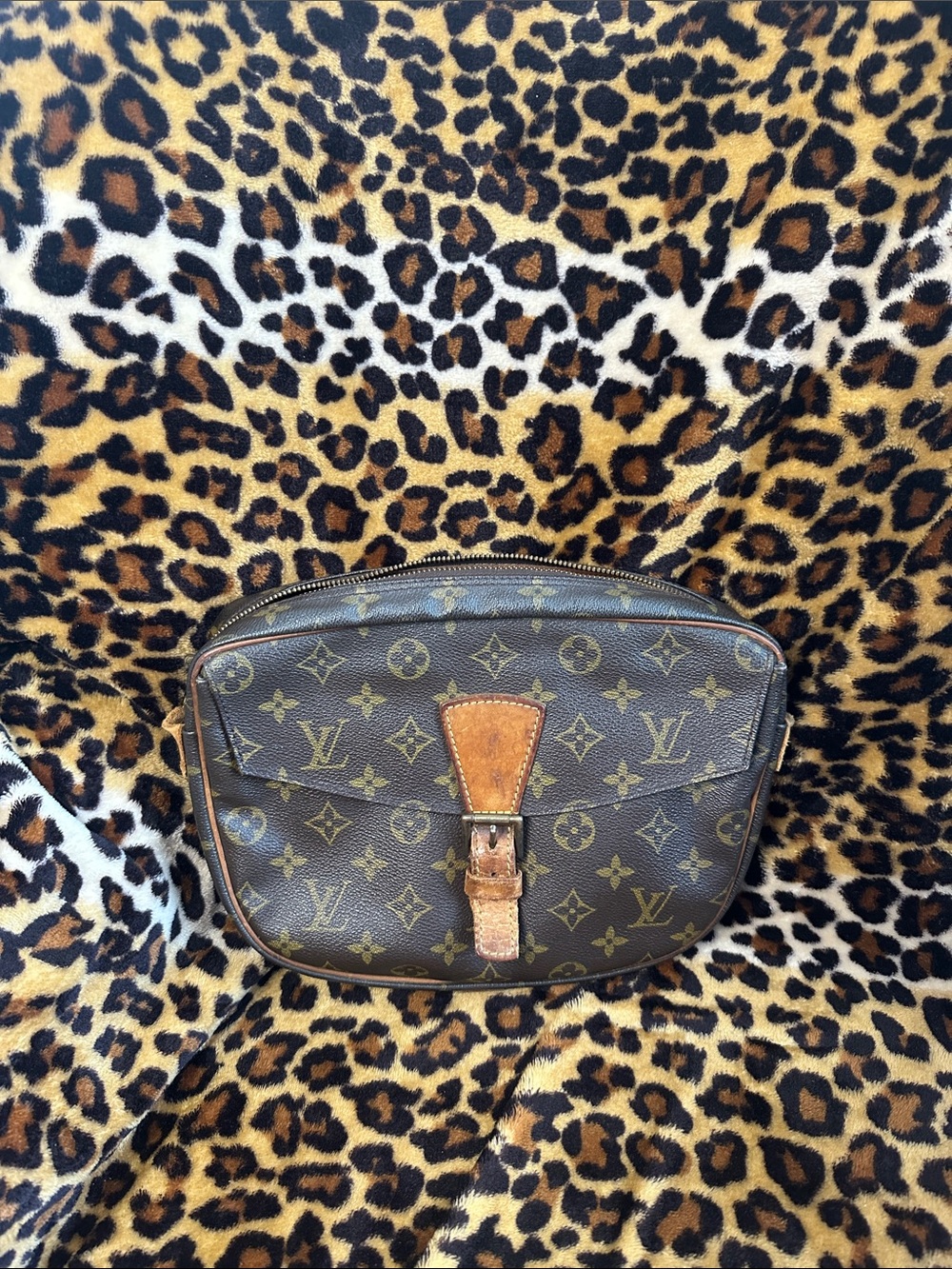 PROJECT ✨LV canvas Bag